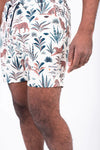 TIGER BOARDSHORTS-online clearance